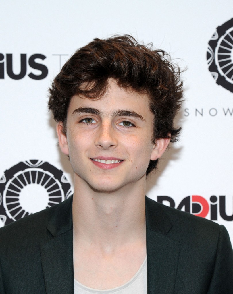 Lý do Timothée Chalamet bị phạt khi lái xe đạp điện dự ra mắt phim- Ảnh 1.