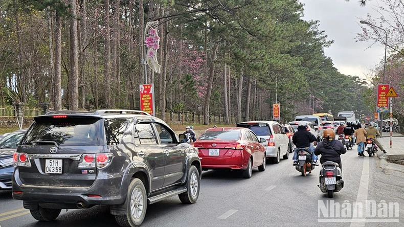 Spring tourists to Da Lat increased by more than 60% compared to the same period in 2023 photo 10