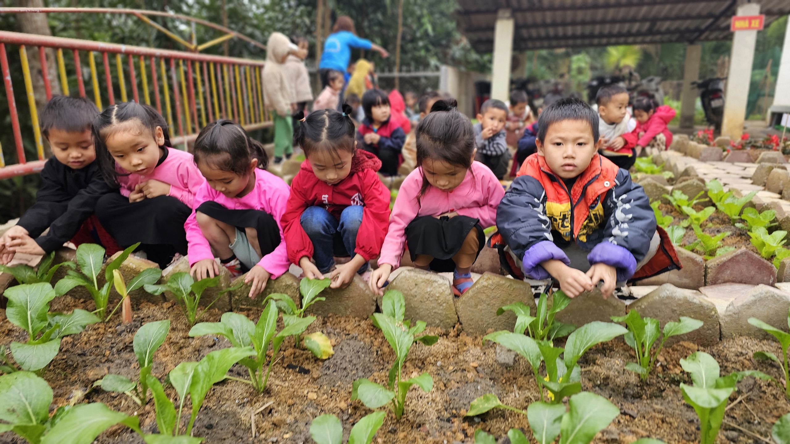 "Bám bản" vì tương lai tươi sáng của trẻ vùng cao- Ảnh 2.