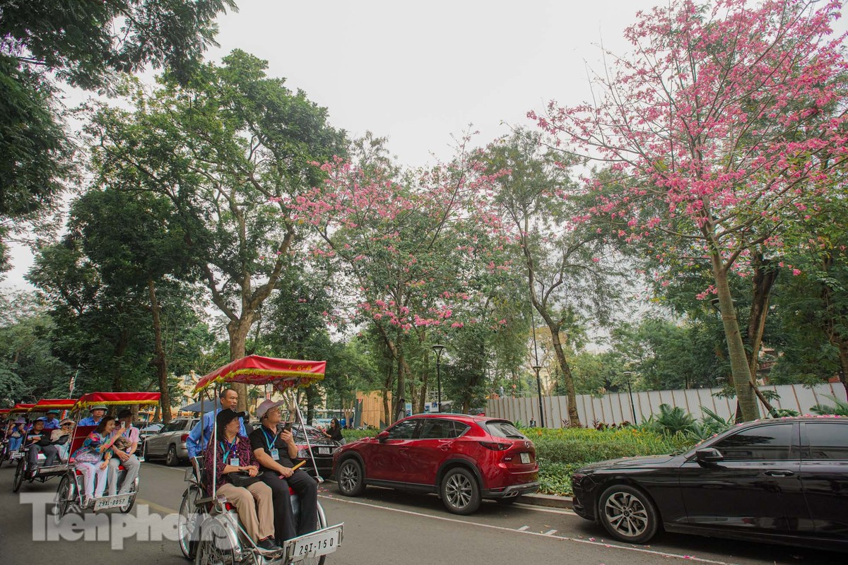 Bewundern Sie die bezaubernde Pracht der wunderschönen Blumen im Herzen von Hanoi Foto 17