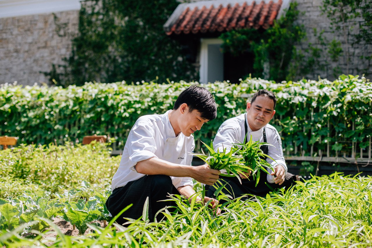 Nam thần Hàn Quốc Lee Min Ho 'sống trọn từng khoảnh khắc' cùng JW Marriott - Ảnh 4.