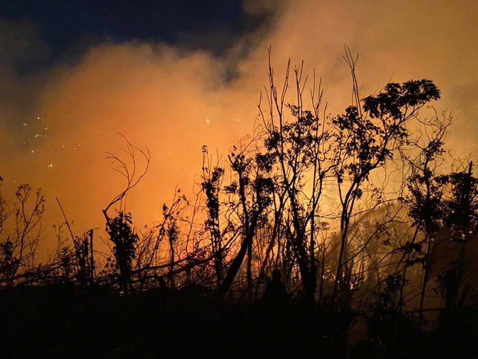 Scene of the forest fire. Photo: Hang Ngan