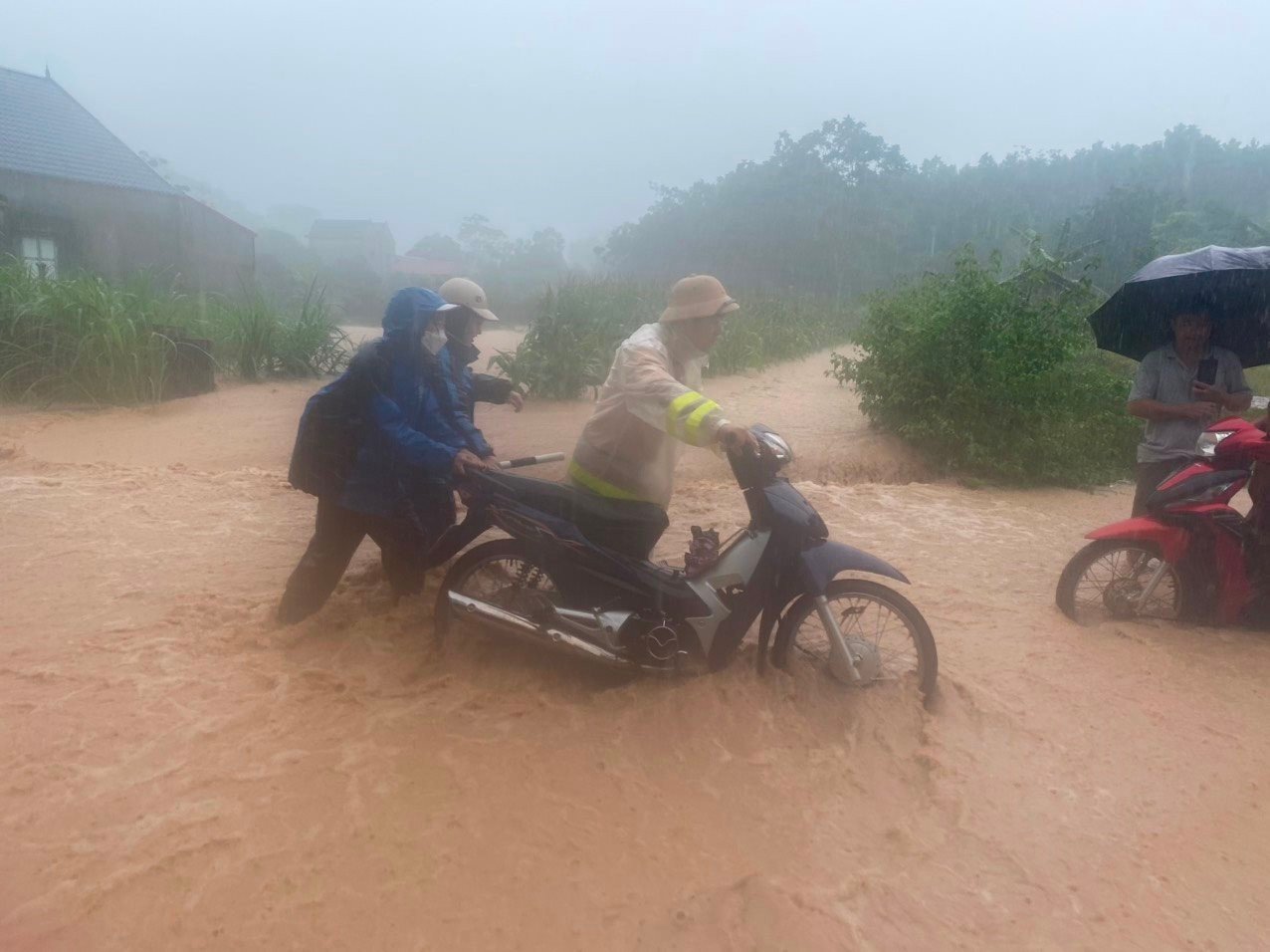 ha tinh mua lon.jpg