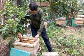 Phát triển kinh tế ở Hà Thạch