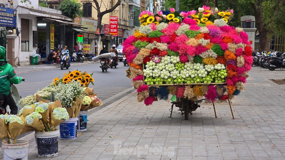 New look of Ly Tu Trong flower garden after 25 billion VND investment in renovation and beautification photo 17