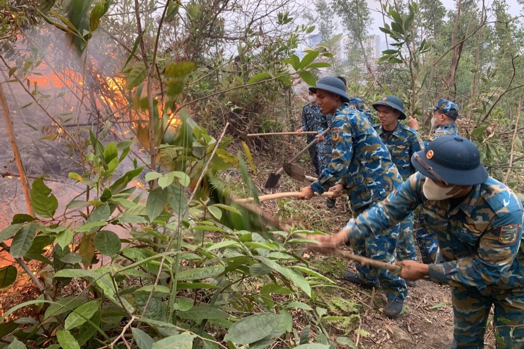 Cháy rừng ở Quảng Ninh - 1