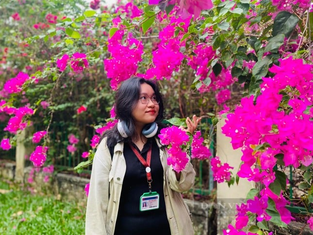 La hermosa carretera de flores de papel como en una película en la ciudad de Ho Chi Minh está causando revuelo en Internet. Foto 12