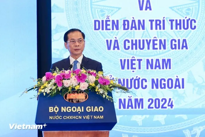  Bộ trưởng Bộ Ngoại giao Bùi Thanh Sơn phát biểu khai mạc Hội nghị. (Ảnh: Minh Sơn/Vietnam+) 