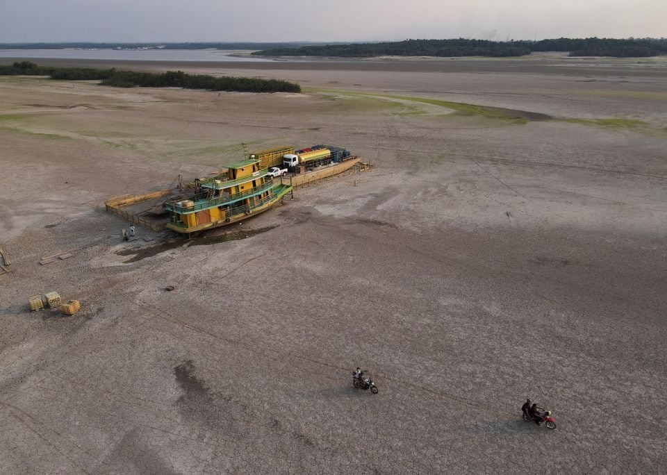 El cambio climático provoca una sequía récord en la Amazonía (imagen 3)