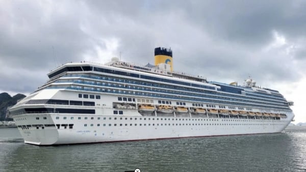 Super yacht brings nearly 3,500 international visitors to Ha Long