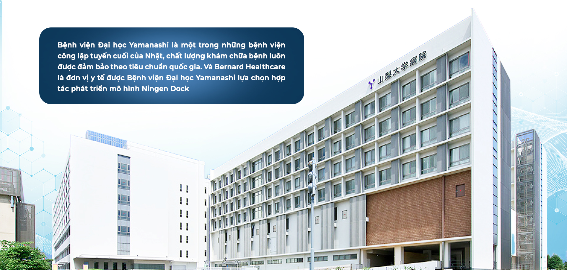 BERNARD HEALTHCARE ‘CHẠM ĐẾN TRÁI TIM’ NHỮNG BẬC THẦY Y KHOA TẠI NHẬT BẢN- Ảnh 5.
