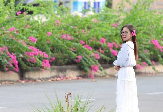 The stunningly beautiful bougainvillea road leading to Ho Chi Minh City National University photo 9