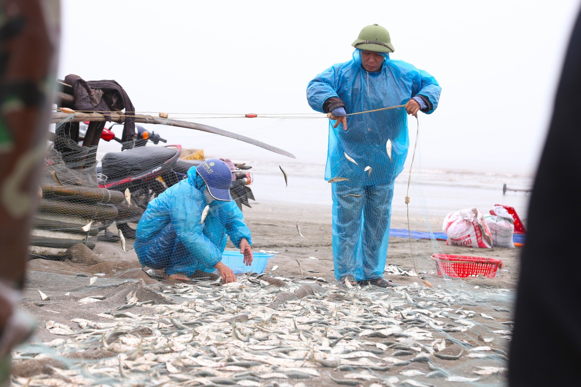 真夜中、波に乗っていると、漁師は「高タンパク質」の魚を捕まえた。彼の手はそれを外すのに疲れていた。写真4