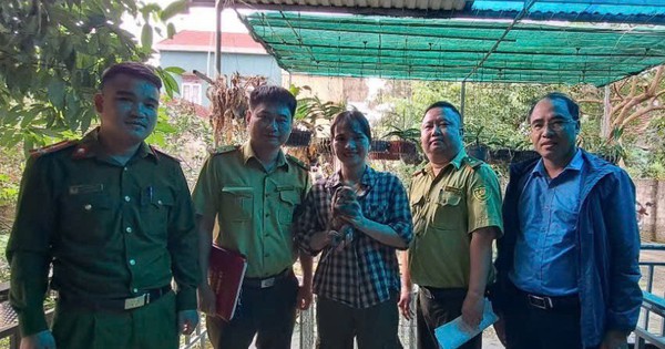 A Ha Tinh resident bought two wild animals and handed them over to Vu Quang National Park.