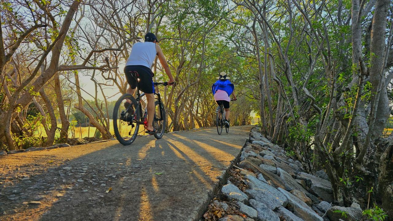 Tại đây, thời điểm ngắm cảnh lý tưởng nhất là vào sáng sớm, lúc mặt trời bắt đầu mọc hoặc là lúc chiều tà. Tuy nhiên, khi đến Huế, bạn có thể đến và ở lại trong khu rừng Rú Chá cả ngày mà không thấy chán. 