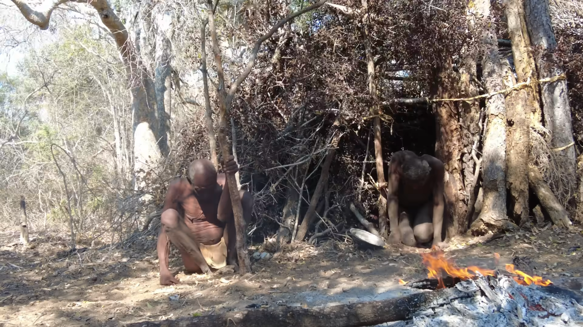 Rencontre d'un touriste vietnamien avec un homme de la forêt mangeur de feuilles qui a peur du monde civilisé