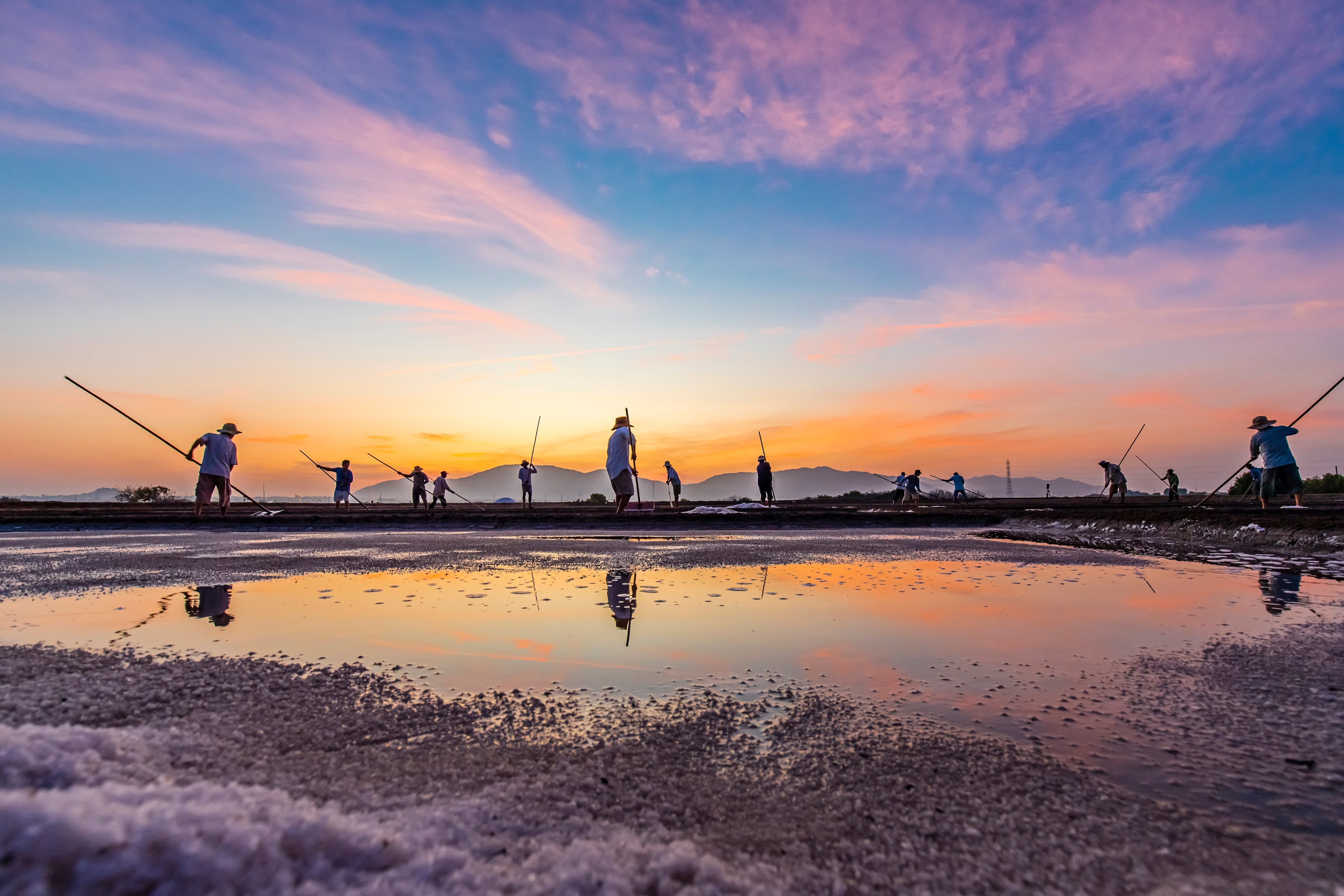 The beauty of Long Dien salt farmers