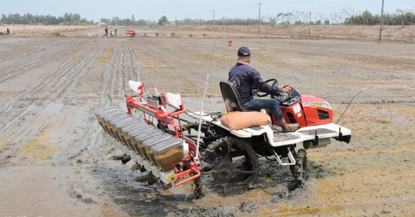 Long An lanza un proyecto de cultivo de arroz de alta calidad y aspira a tener 125.000 hectáreas de superficie de cultivo de arroz con bajas emisiones para 2023