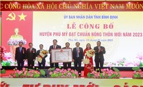 Phó Thủ tướng Hồ Đức Phớc dự Lễ công bố huyện Phù Mỹ đạt chuẩn Nông thôn mới