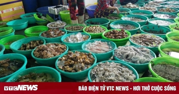 Die ganze Erfahrung eines Besuchs auf dem Fischmarkt von Cat Ba