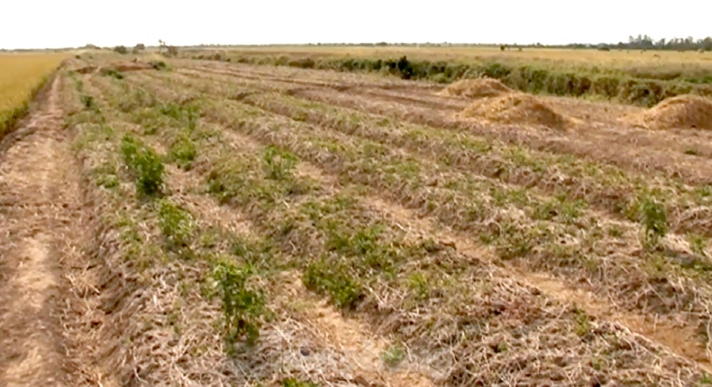 The West is 'tormented' by drought, salinity, and landslides, photo 14