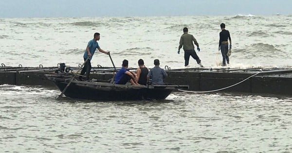 3 family members missing, ship suspected to have crashed into seawall in Hai Phong