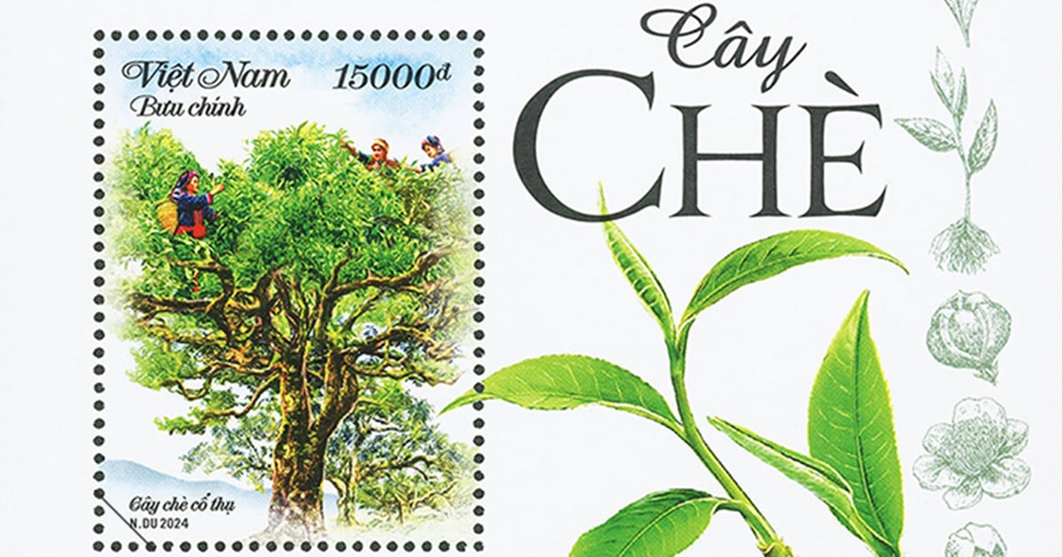 Ministry of Information and Communications issues postage stamps to promote Vietnamese tea plants