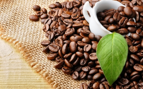 Los precios de exportación del café se disparan: ¿el Robusta se dirige hacia un máximo histórico?