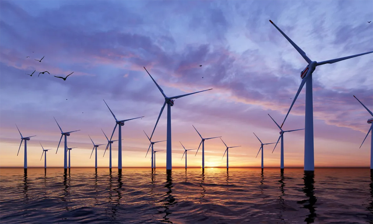 How do wind farms affect marine life?