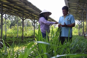 Kinh tế tuần hoàn hướng tới mục tiêu xanh hóa các ngành kinh tế