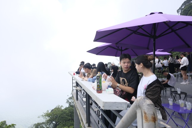 Ba Vi National Park is crowded with young people coming to 'hunt clouds' photo 9