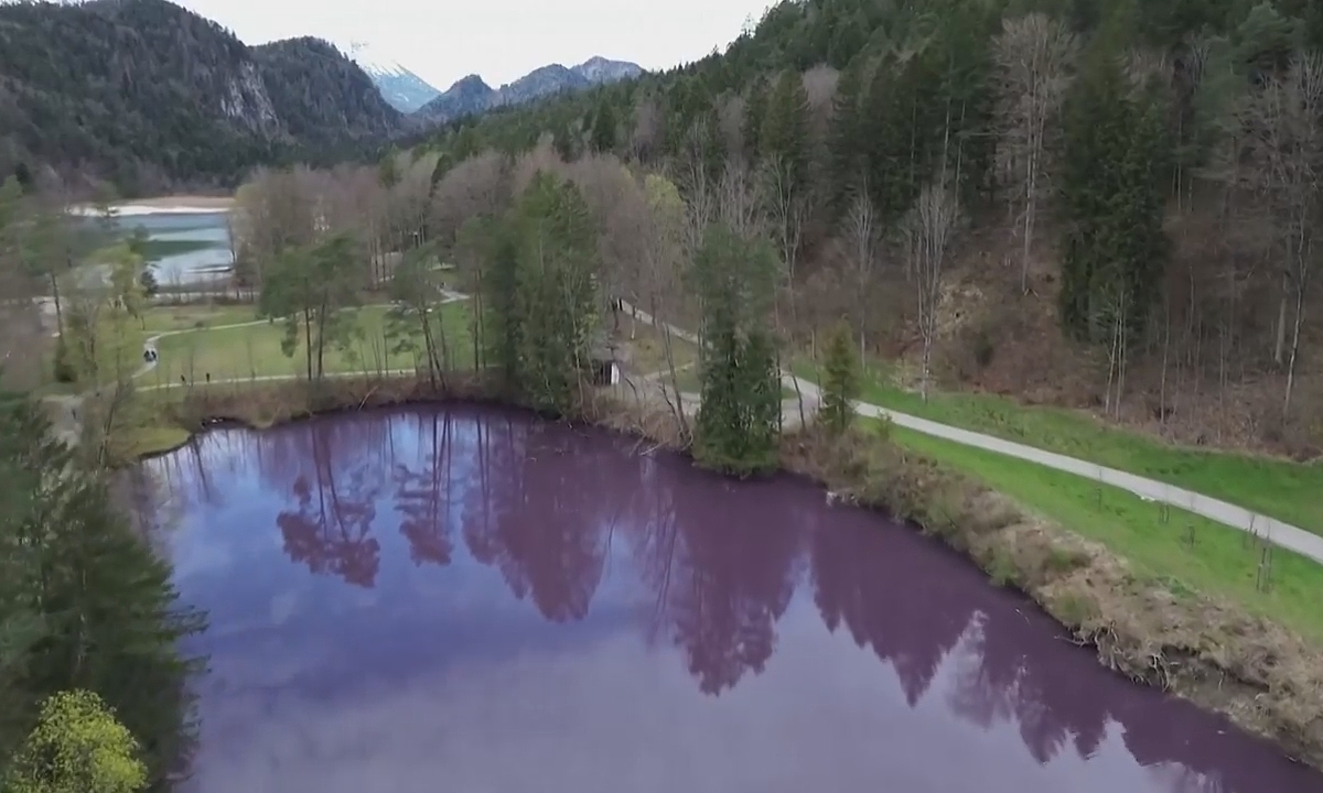 Acuda en masa a ver cómo el lago se torna morado