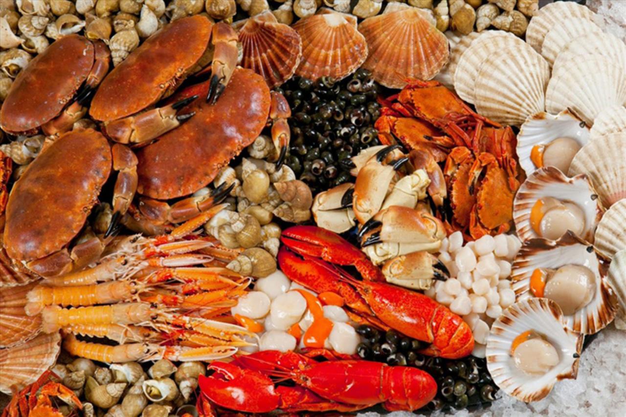 fruits de mer et déchets animaux 1.jpg