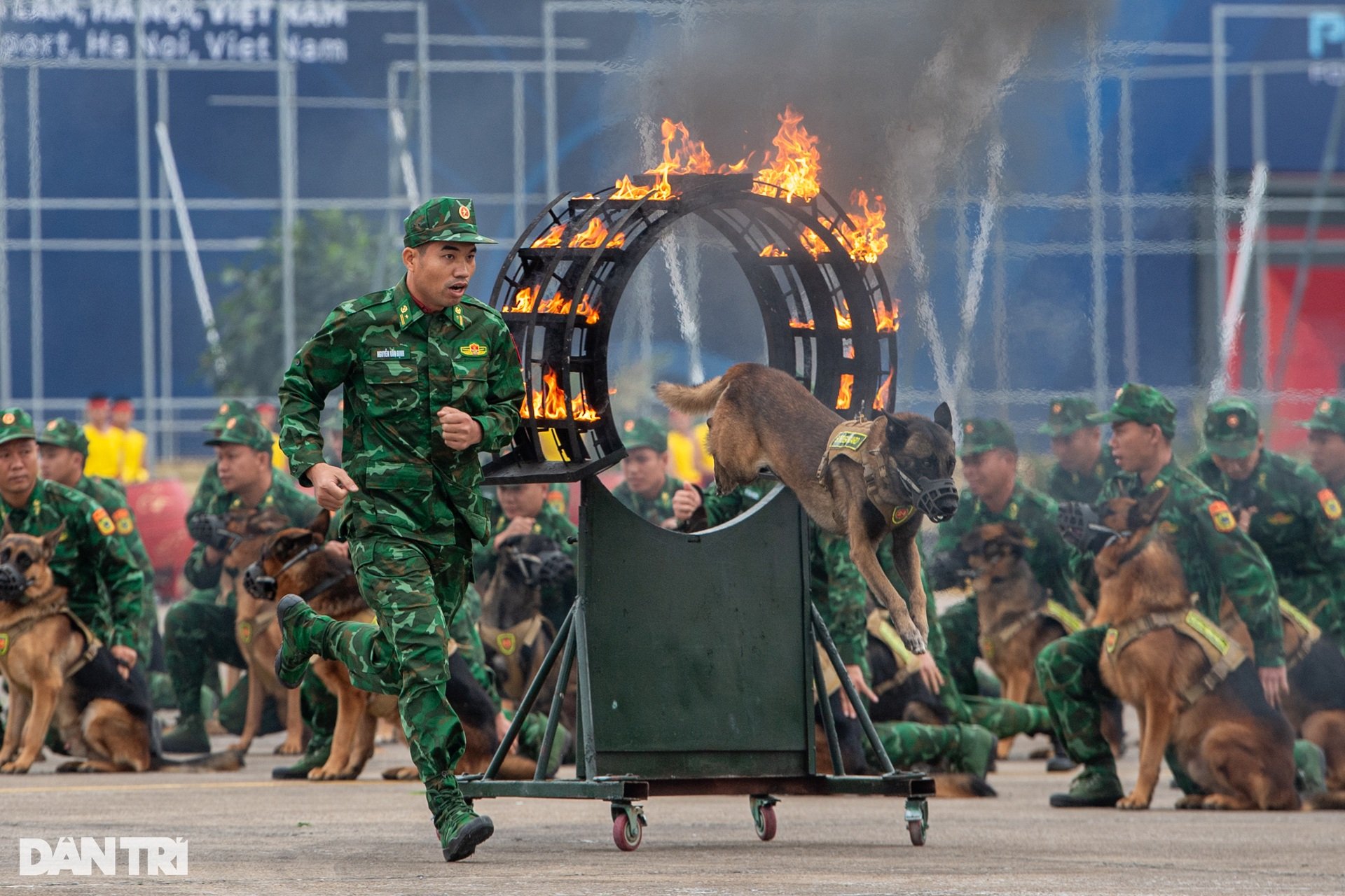 Quân khuyển trình diễn vượt vòng lửa, bắt tội phạm ở Triển lãm Quốc phòng - 6