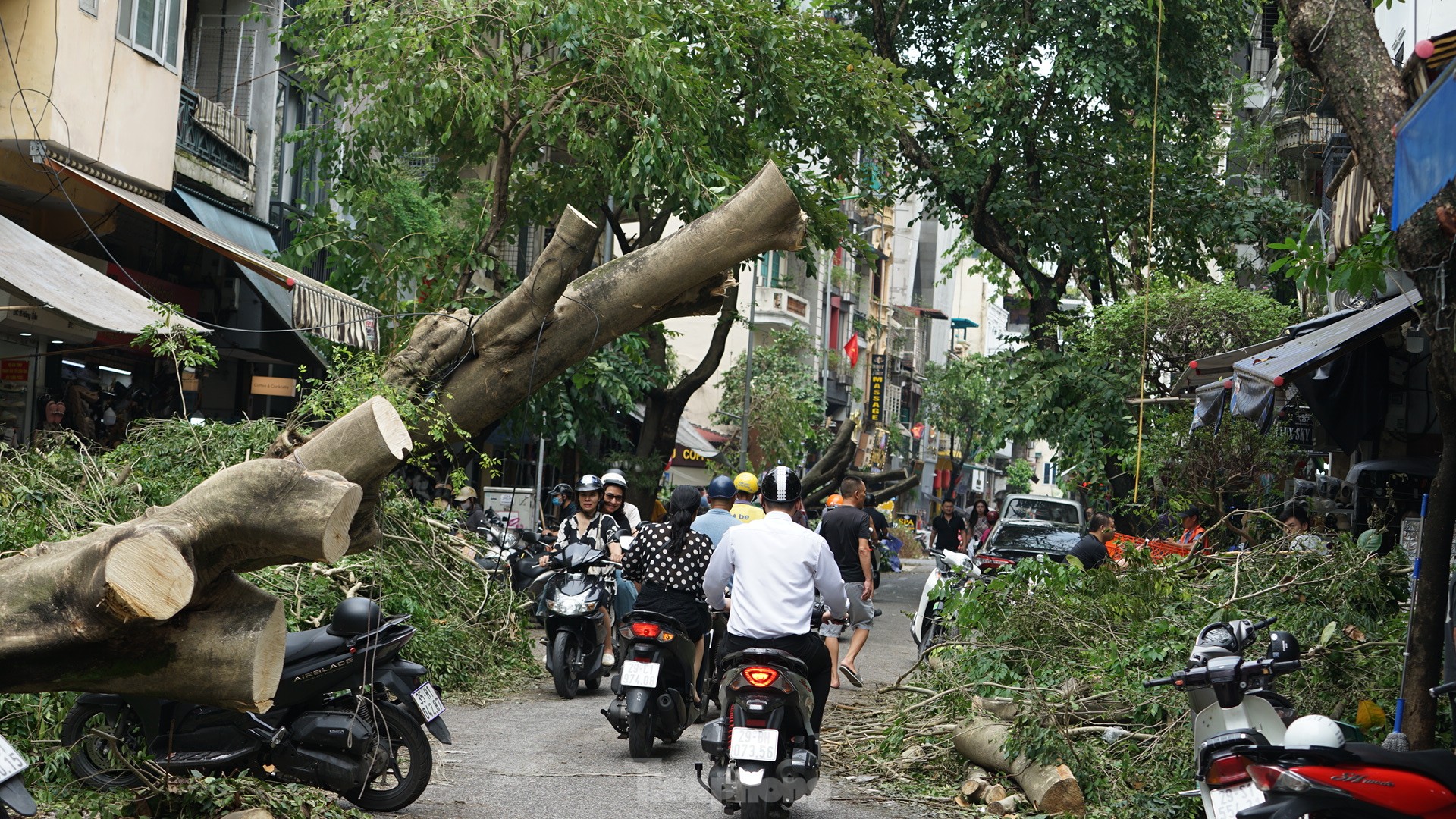 Khắc phục tình trạng cây xanh đổ ngổn ngang trên đường phố Hà Nội ảnh 10