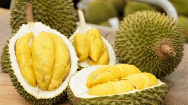 Gracias al "impulso" del Protocolo, las exportaciones de durian al mercado chino aumentaron 10 veces