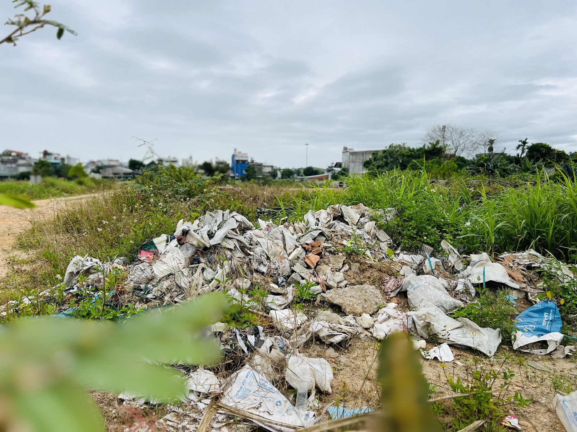 Pasto crecido y basura acumulada en un proyecto residencial de 400 mil millones de dólares en Quang Ngai, foto 9