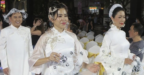 Wunderschöne 20 Ao Dai-Kollektionen auf der Nguyen Hue Walking Street gestern Abend