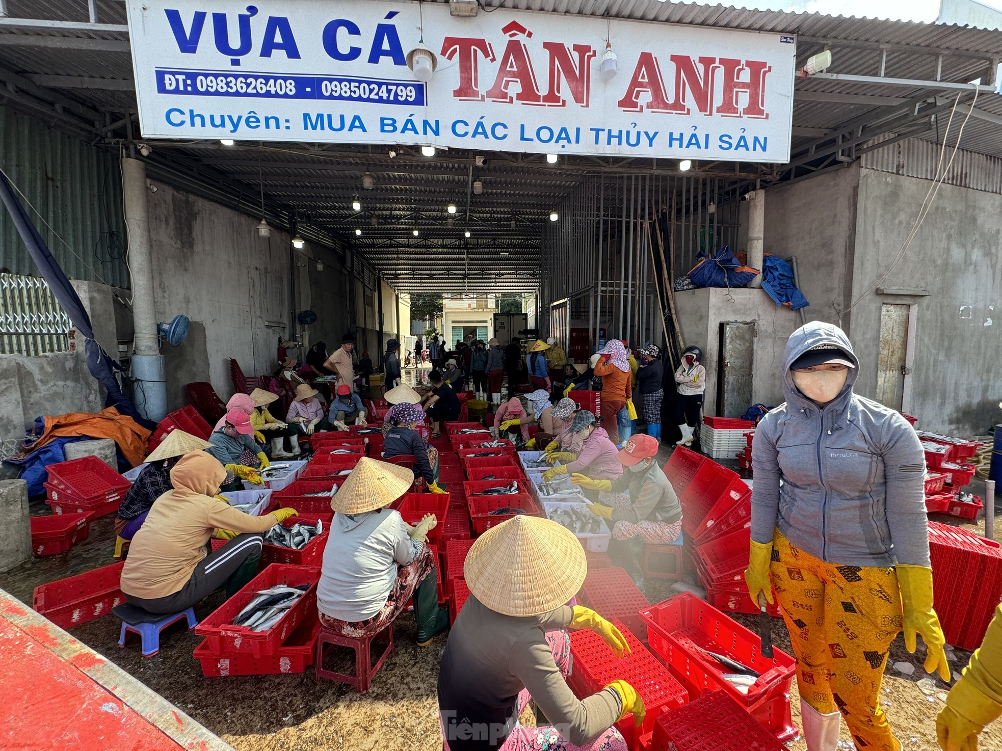 Fischer aus Quang Ngai beenden ihren Angelausflug nicht und eilen zurück ans Ufer, um ihren Fisch zu verkaufen und dem Sturm zu entkommen. Foto 3