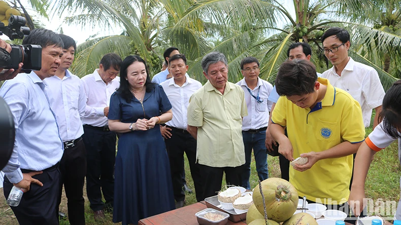 La Universidad Tra Vinh investiga con éxito una variedad de coco de cera cultivado a partir de embriones. Foto 1