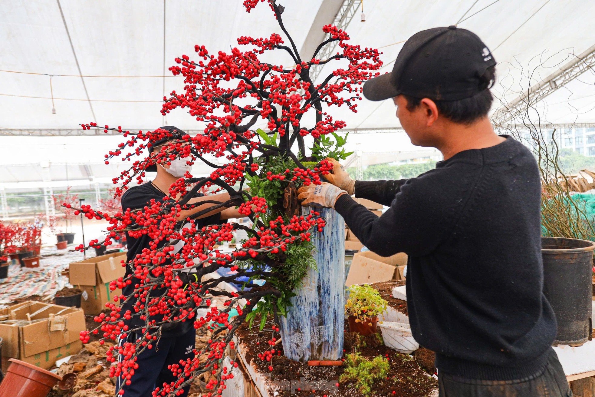 Fresh peach blossoms combined with driftwood worth hundreds of millions of dong still attract customers photo 8