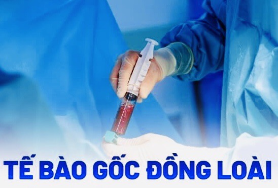 Tế bào gốc không có khả năng chữa bách bệnh- Ảnh 2.