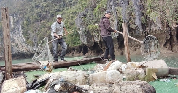 Regulación del número de visitantes para evitar la sobrecarga en la bahía de Ha Long