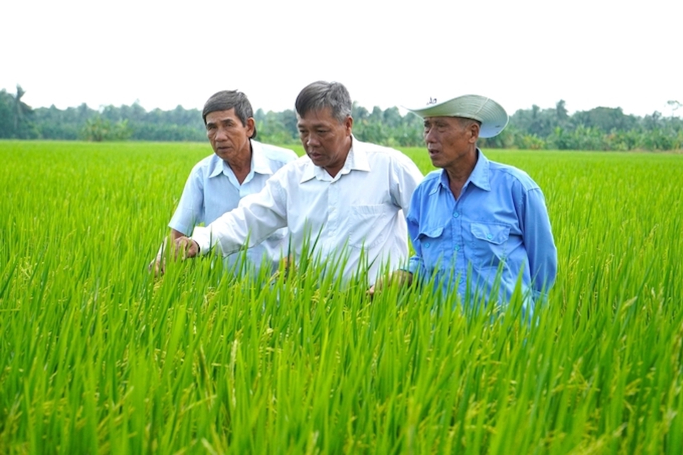 Phổ biến khoa học - kỹ thuật đến người nông dân là giải pháp hướng tới nâng cao giá trị cho gạo Việt.