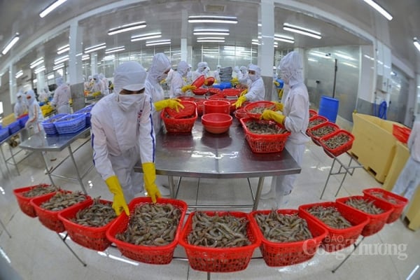 Seafood exports increased by more than 60% in January 2024