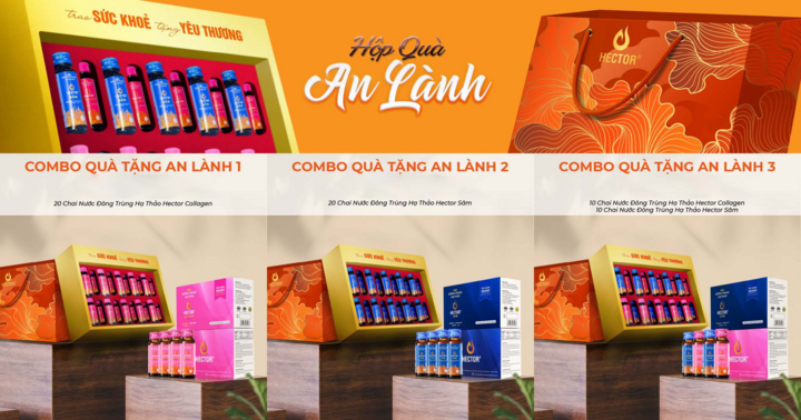 Collection of high-end corporate Tet gift boxes from Hector - 1