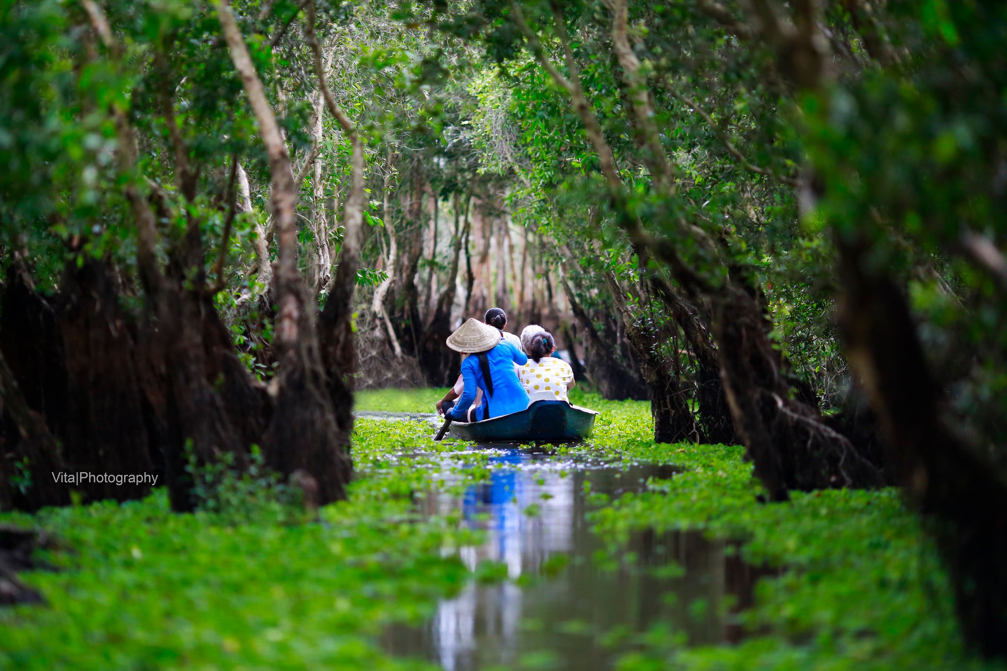 ความงามอันลึกลับและเป็นเอกลักษณ์ของป่า Tra Su Cajuput, An Giang