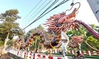 ពាងនាគសេរ៉ាមិចមួយគូនៅ Binh Duong បានបង្កើតកំណត់ត្រារបស់វៀតណាម