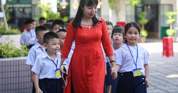 ¿Cuántos estudiantes de primaria recibirá Ciudad Ho Chi Minh en 2023-2024?