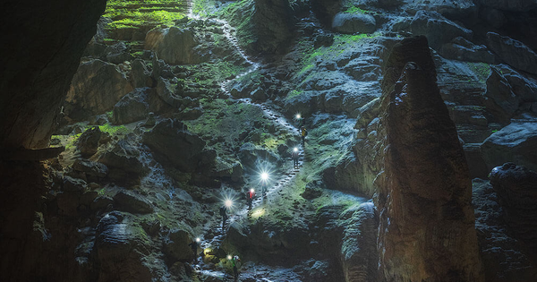 ¿Qué dijo la empresa encuestadora sobre la estampida en la cueva Son Nu?